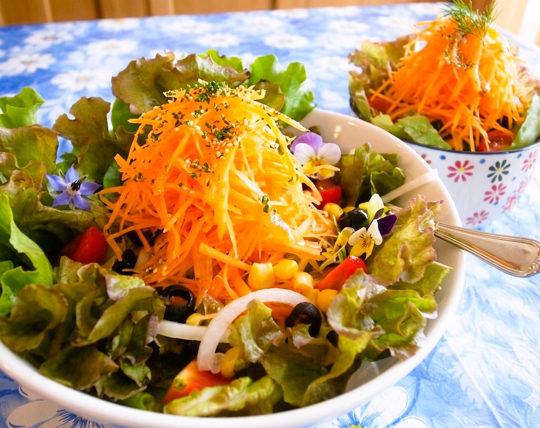 コージーサラダ / Daily Fresh Salad