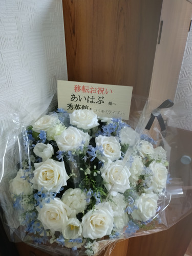 IMG_20250403_102625677.jpg