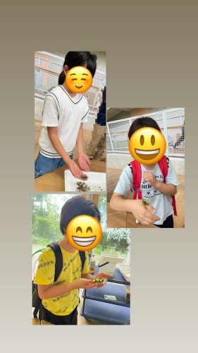 1750397911251.jpg