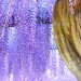 P1200497-2.JPG