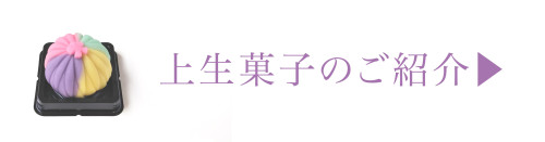 20250126_上生菓子イメージバナー.jpg