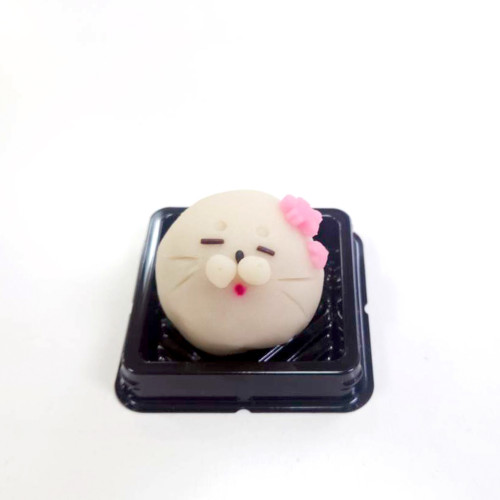 20250311_癒し_アザラシ.jpg