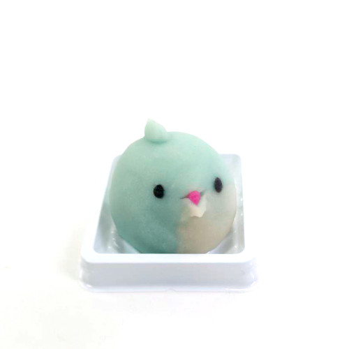 20250311_癒し_イルカ.jpg