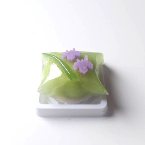菖蒲（あやめ）