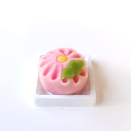 20251010_秋明菊2.jpg