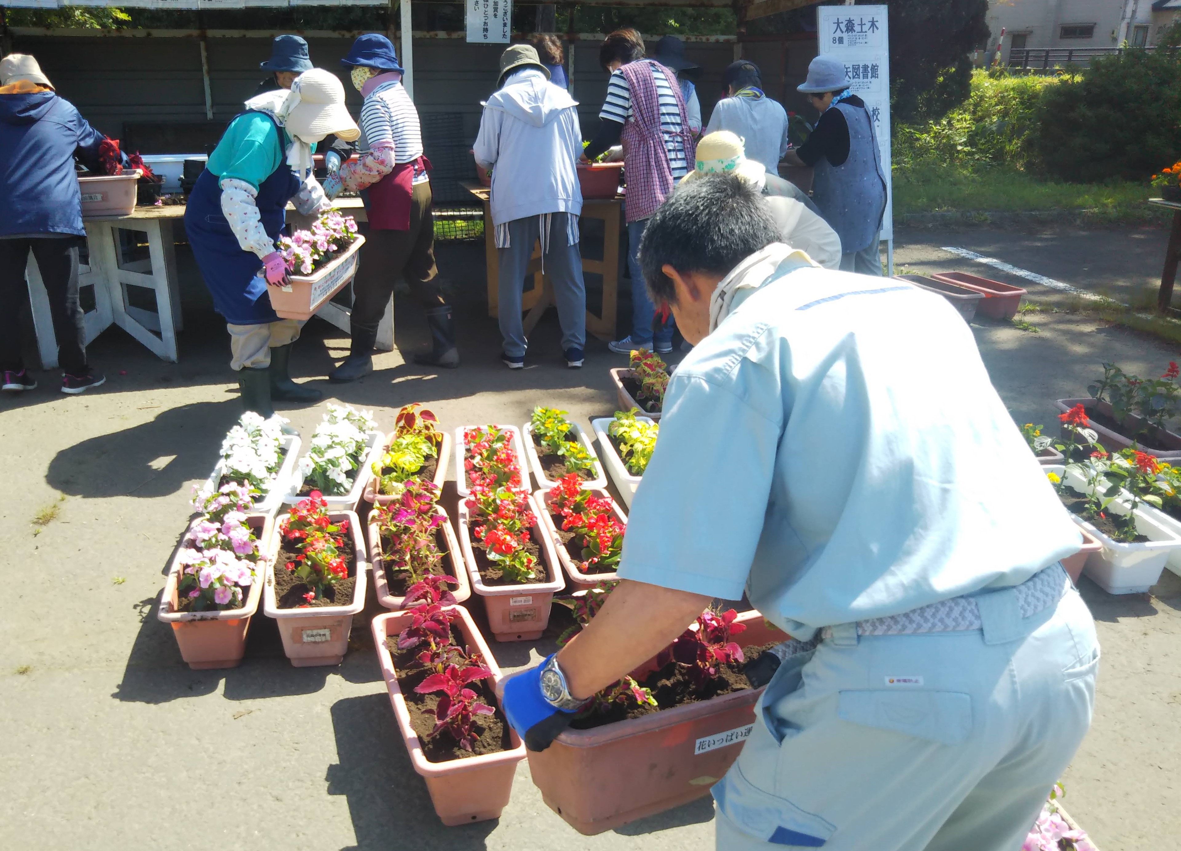 花岡地区の花いっぱい運動に参加してきました