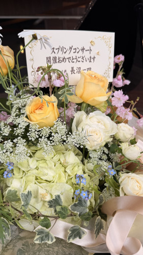 IMG_8513.jpeg