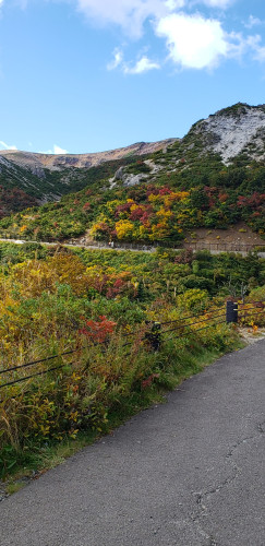 磐梯吾妻スカイライン紅葉１.jpg