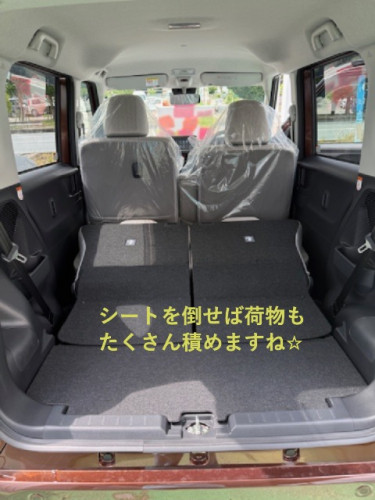 ムーブリヤシート.JPG