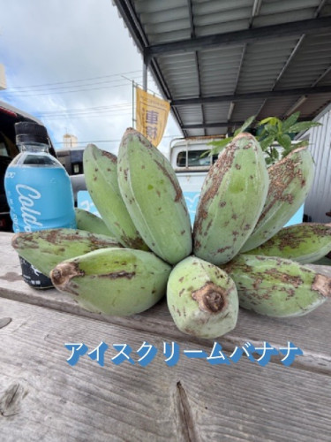 アイスクリームバナナ.JPG