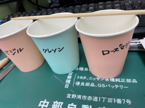 種.jpeg