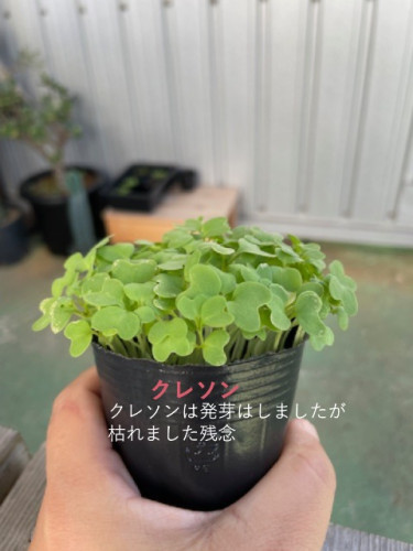謎.JPG
