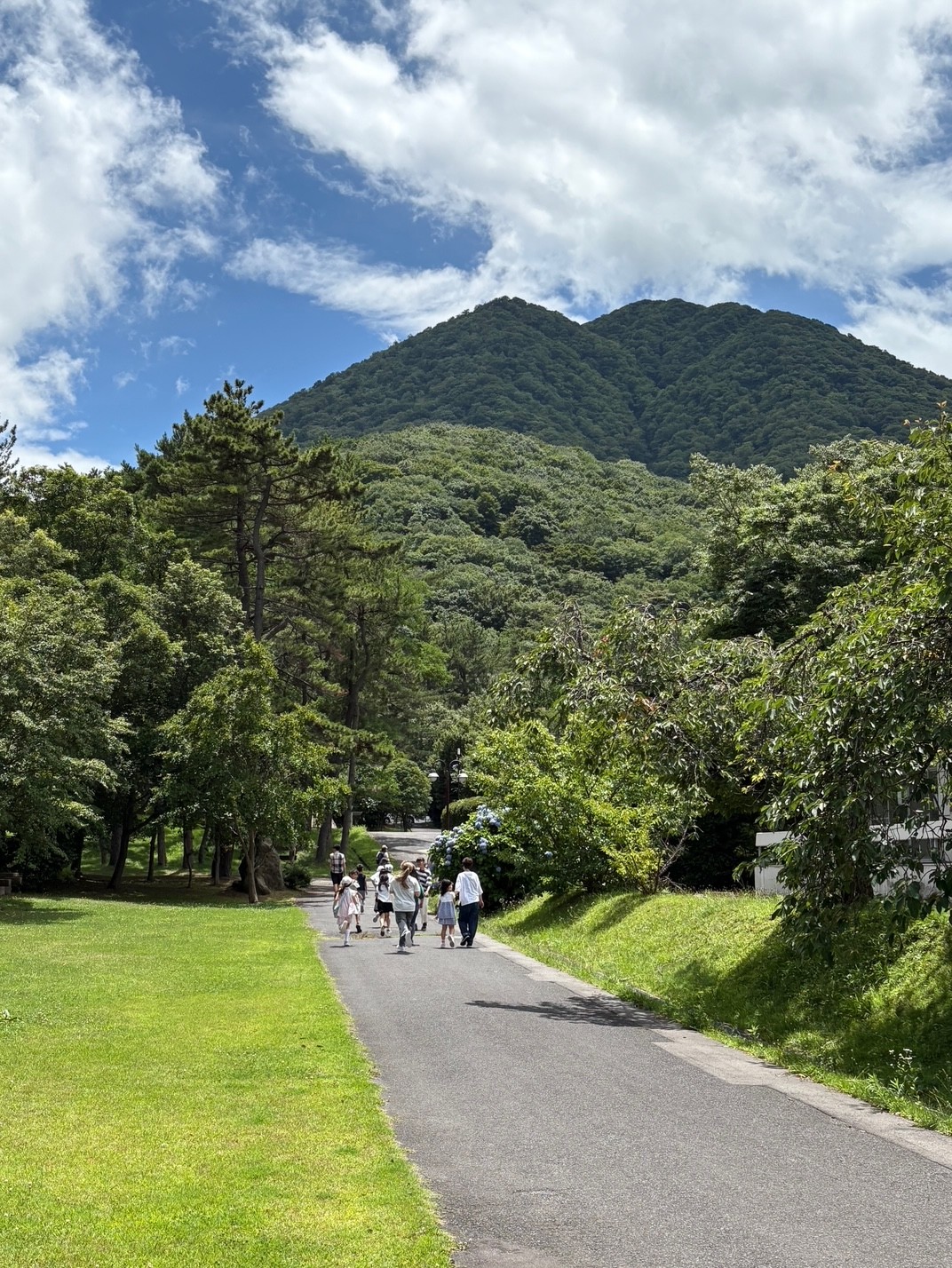 山本あきひこのぴあの教室・山の学校２０２５ｉｎ三瓶山、みんな元気に行って来ました！
