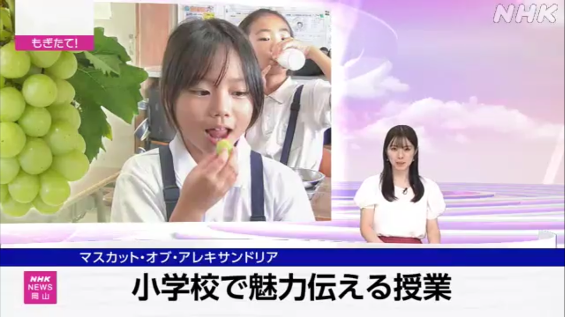 生徒さんがＮＨＫの夕方ニュース「もぎたてワイド」に出ました！
