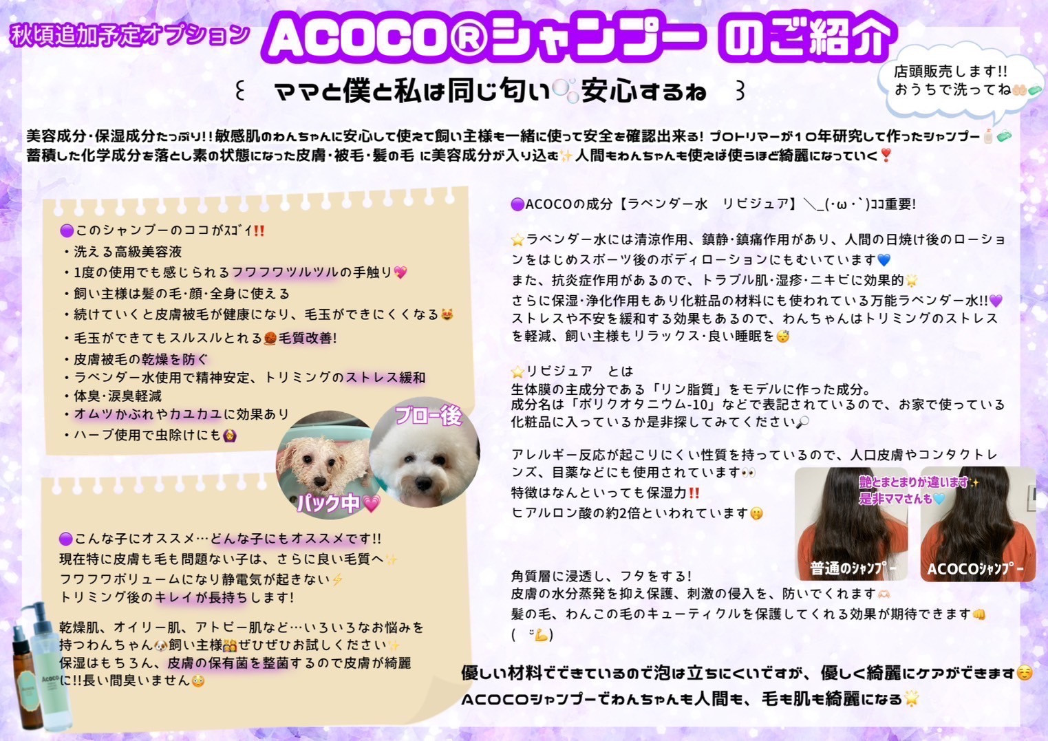 ACOCO®シリーズの導入（シャンプー） - 出張トリミングぶるーまーる