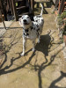 IMG_1068.jpeg