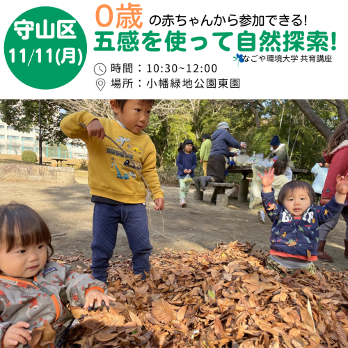 【守山区】11/11｜緑地で自然探検