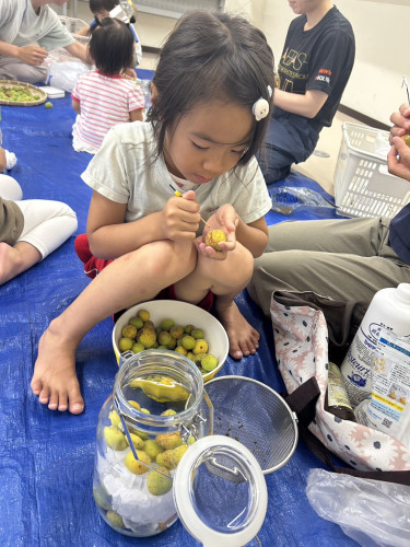 S__7045134.jpg