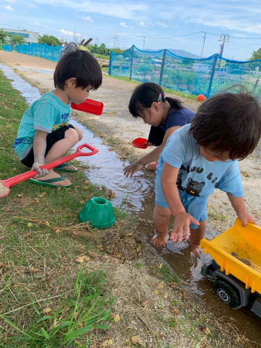LINE_ALBUM_あいぞめ_260622_1.jpg