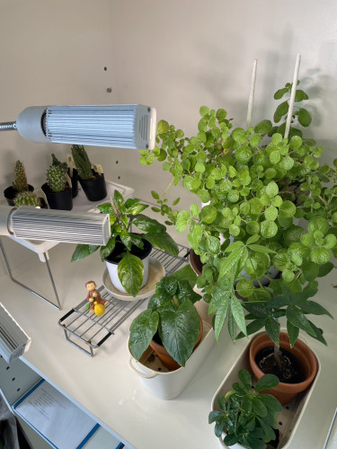 image_123650291 (19).JPG