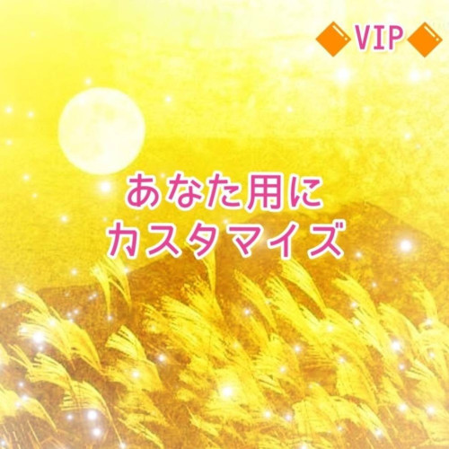 🔶VIP🔶あなた用にカスタマイズ