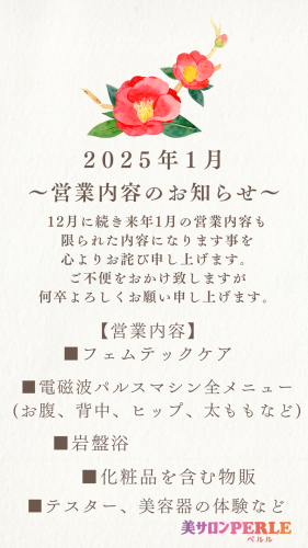 アイボリー　シンプル　花　年末年始　休業日のお知らせ　ストーリー_20241228_154125_0000.png