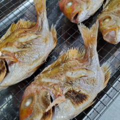 鯛の塩焼き04