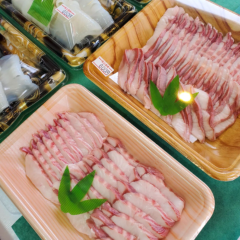 サメとイカ