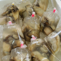 袋牡蛎