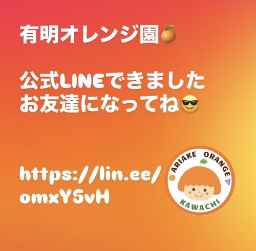 有明オレンジ園　LINE公式アカウントが出来ました！