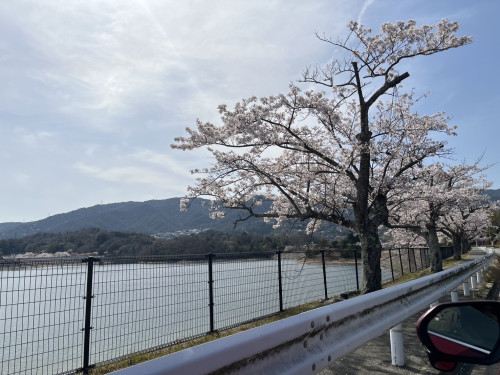 4月10日はお花見です。