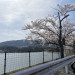 4月10日はお花見です。