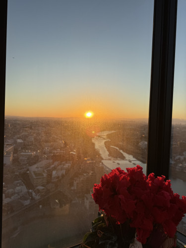 IMG_3887.jpeg
