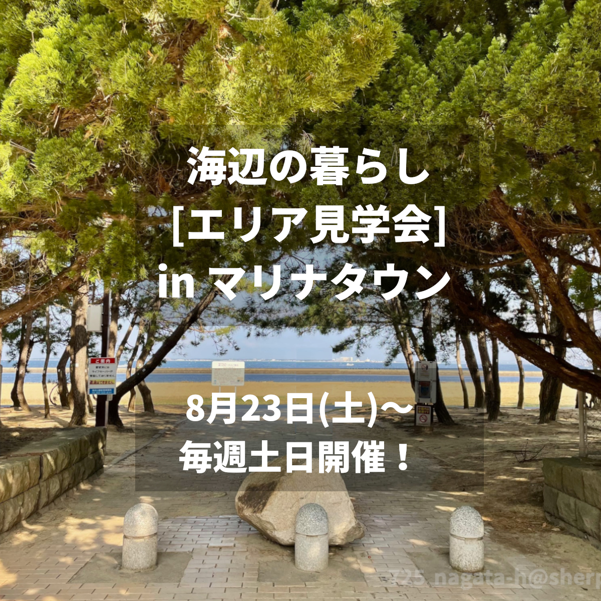 海辺の暮らし [エリア見学会]  in マリナタウン🌴  ⛱ 8月23日(土)～毎週土日 開催！
