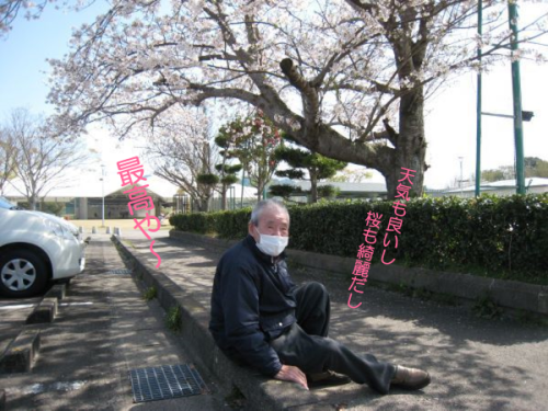 桜見学1.png