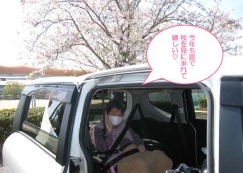 桜見学3.png