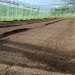20240525_075013.JPG