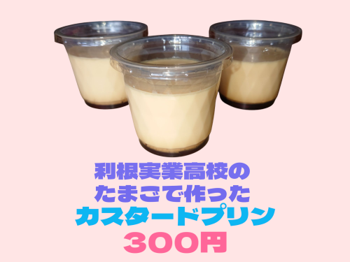 利根実たまごのカスタードプリン販売
