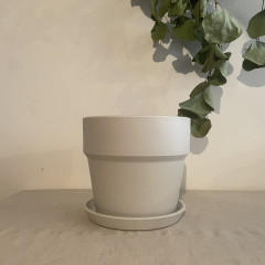 アーバンプランツポットミルク