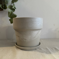 アーバンプランツポットクリーム