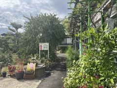 駐車場からの通路