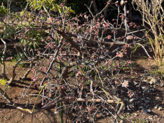 image1 (20).jpeg