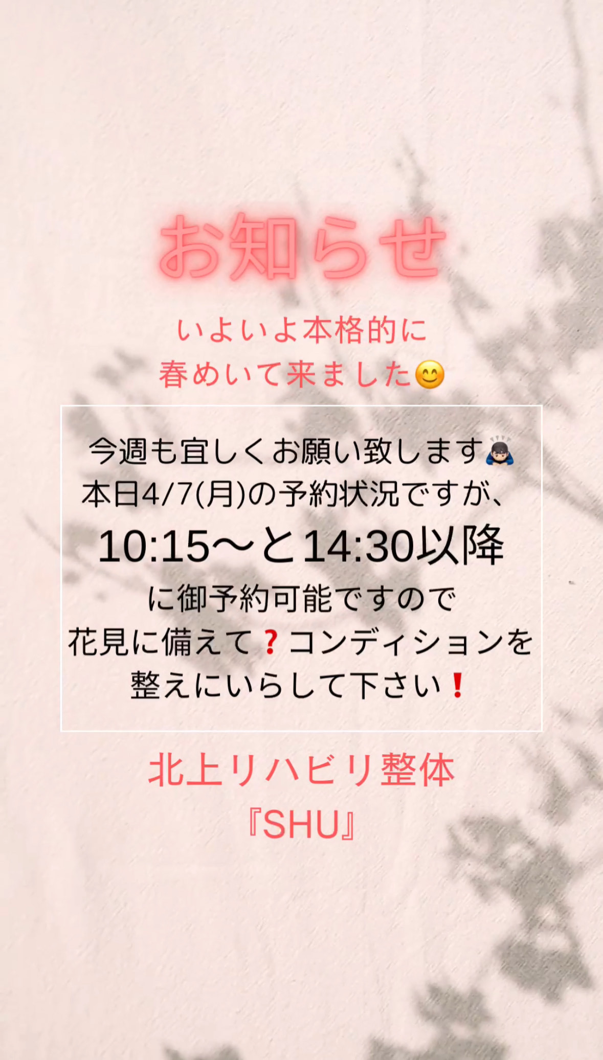 春本番❓