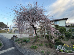 image3 (2).jpeg