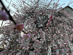 image0 (53).jpeg