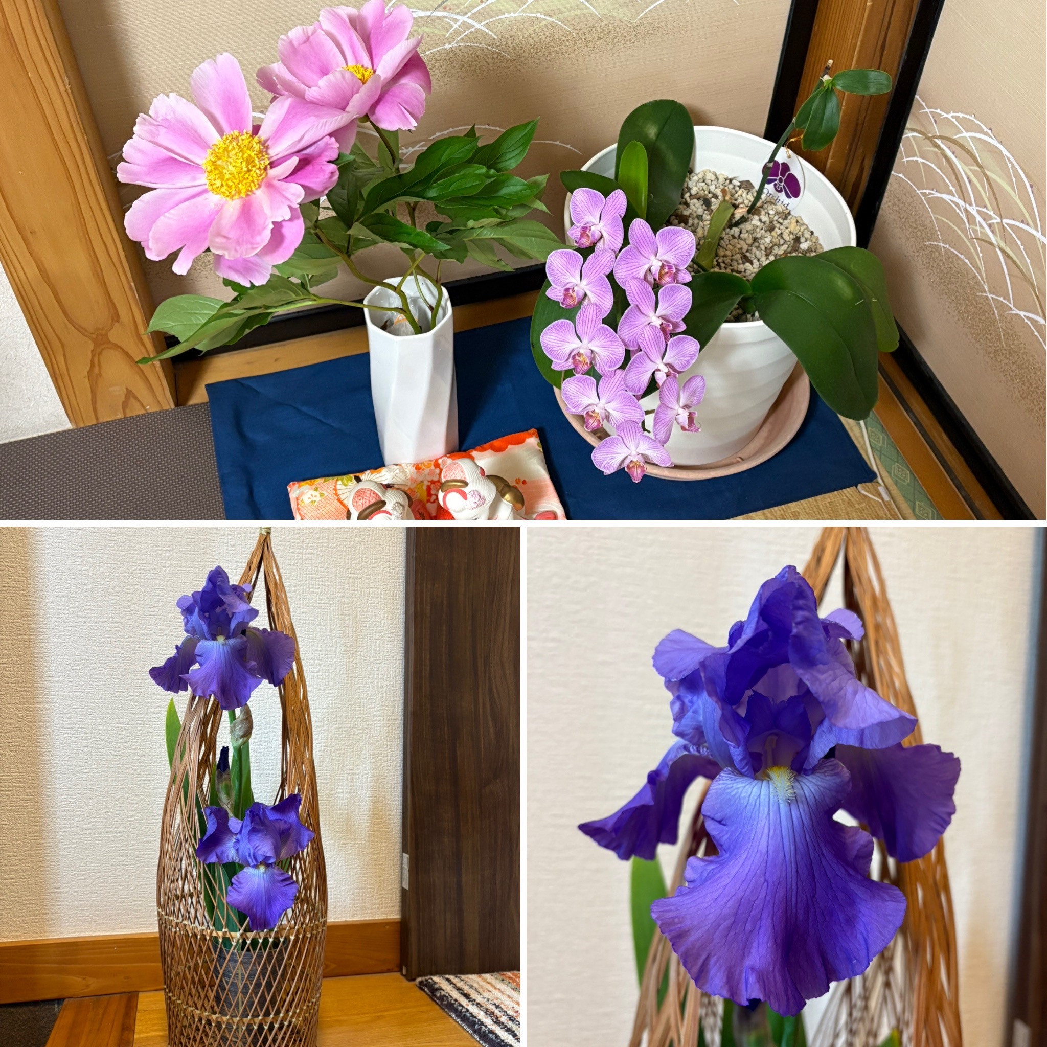 今日から土曜日までの日程について