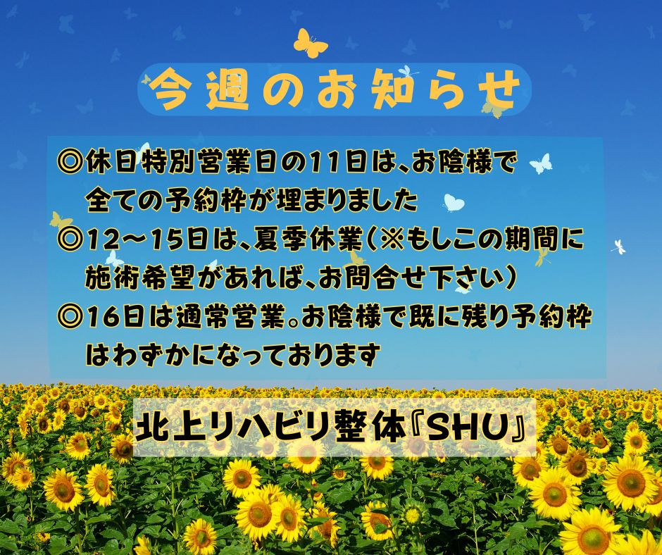 今週のお知らせ