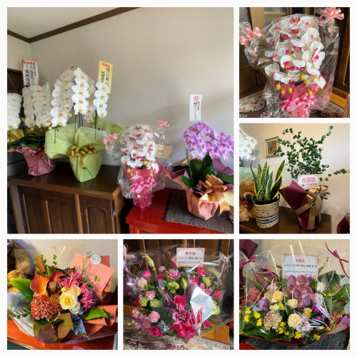 1BC58805-E9A1-408F-A9D4-24F57A24FA2C-COLLAGE.jpeg