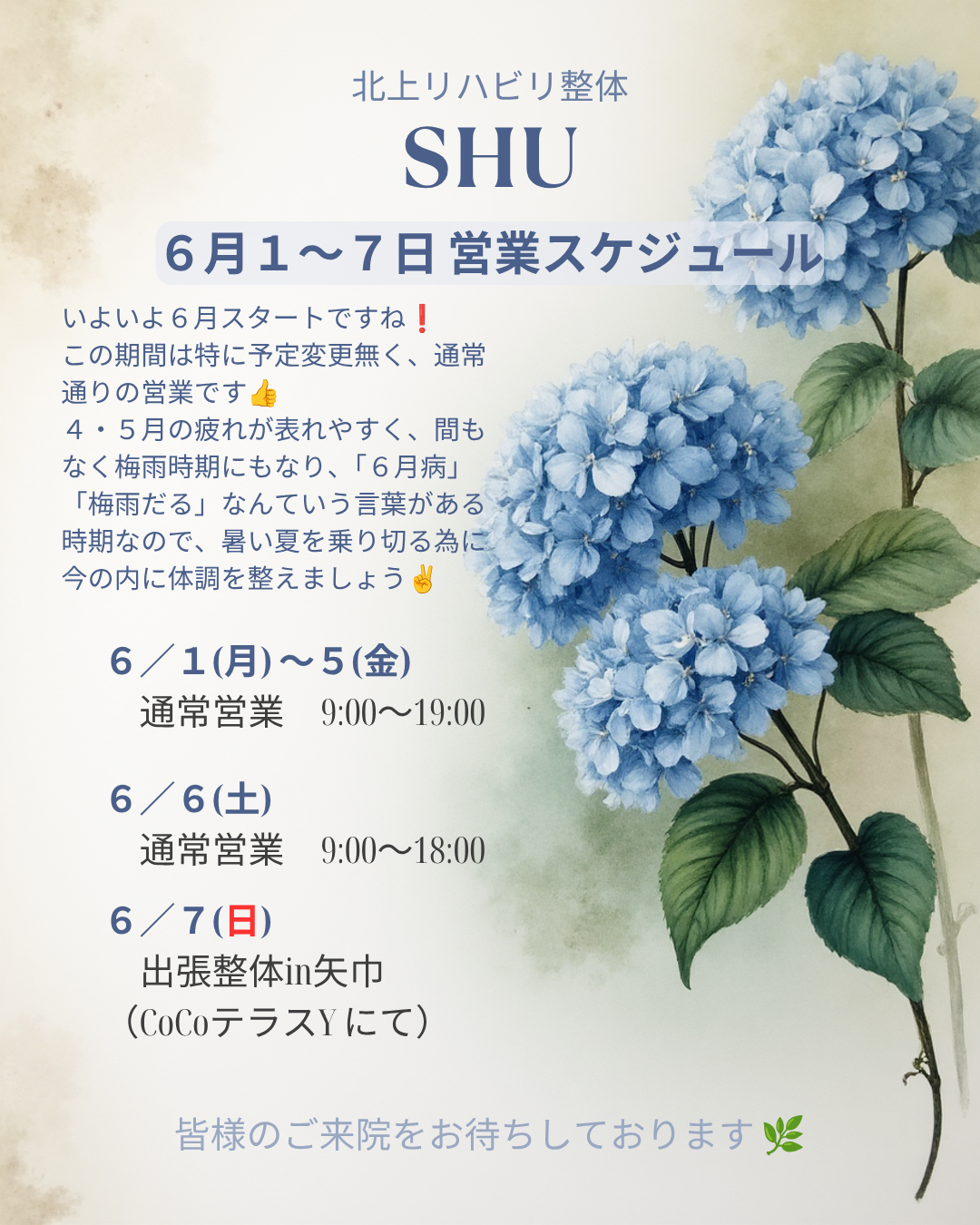6月第1週 整体院 営業予定お知らせ.png