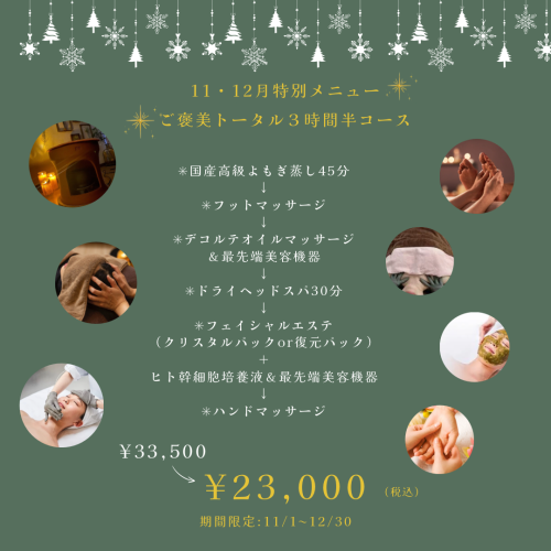 グリーン　ホワイト　クリスマス　イベント　写真　イラスト　シンプル　Instagram　ストーリー (Instagramの投稿)のコピー.png